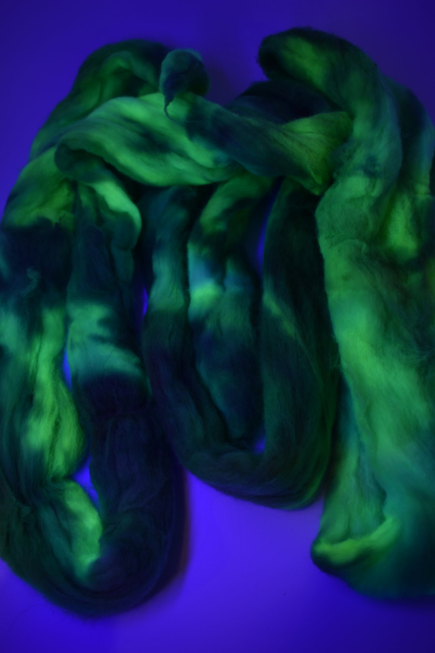 Jurassic Disco - Roving