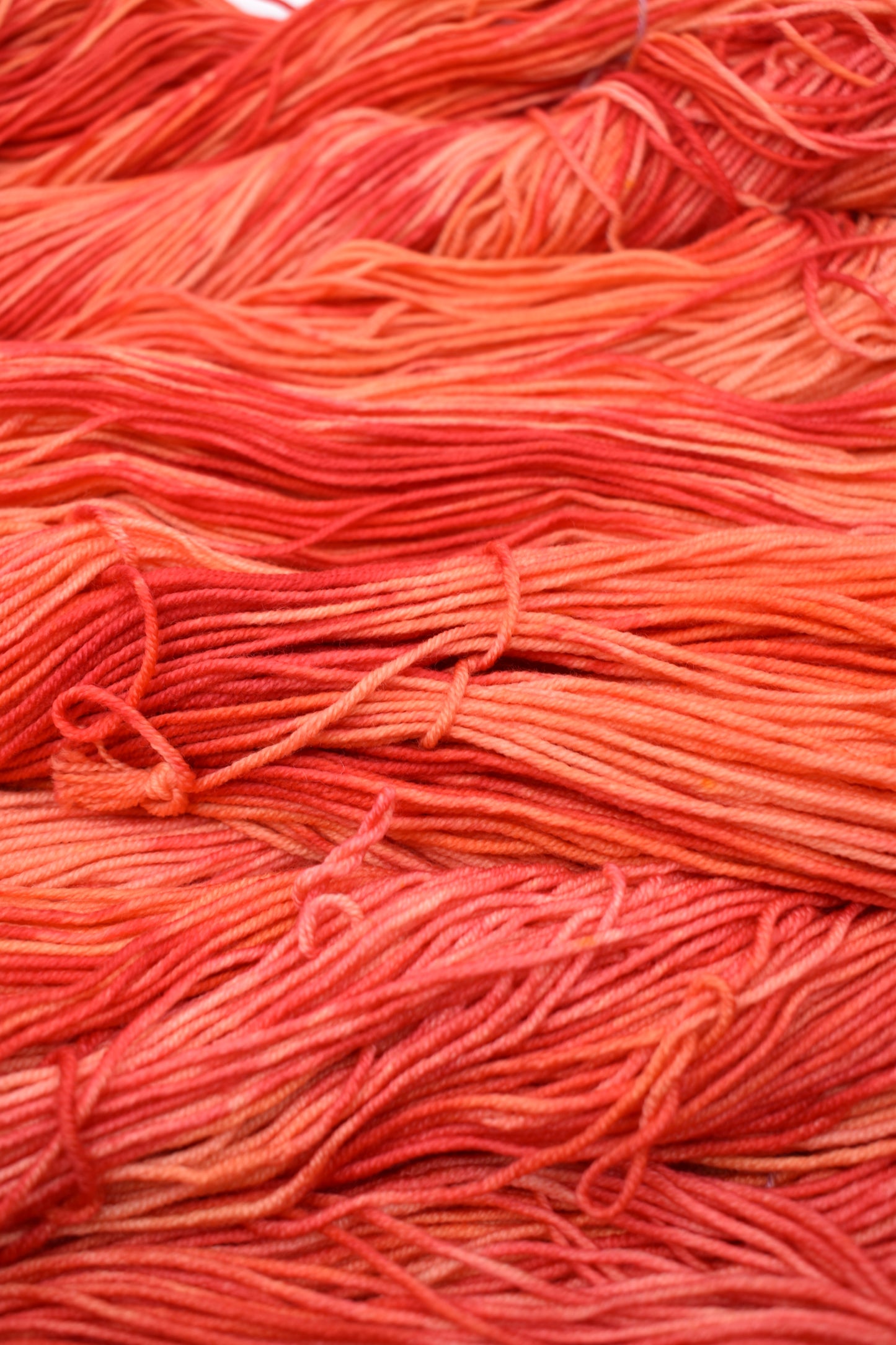 Optimistic Persimmon