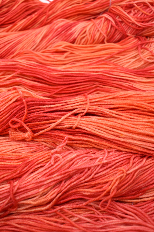 Optimistic Persimmon