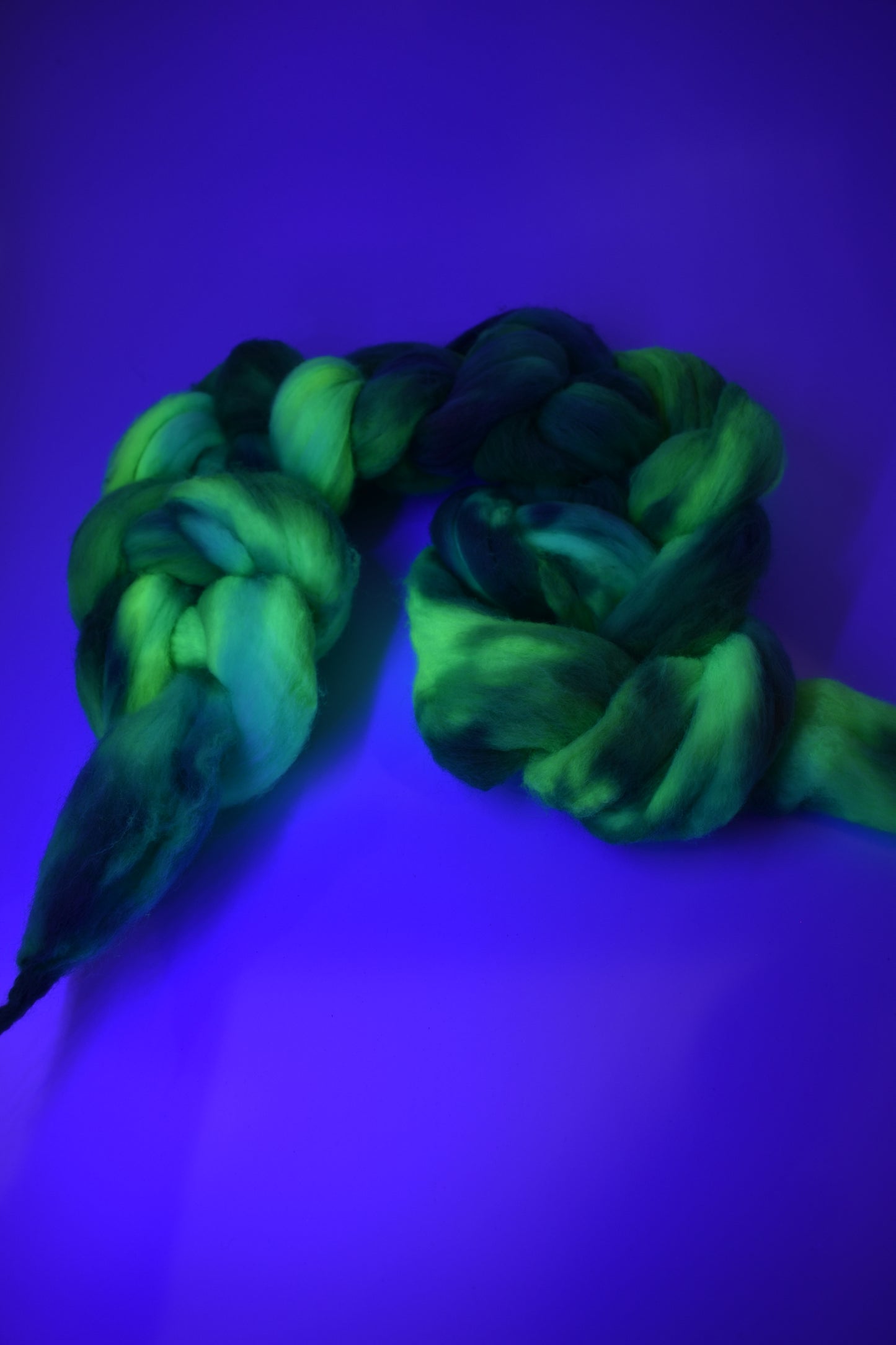 Jurassic Disco - Roving